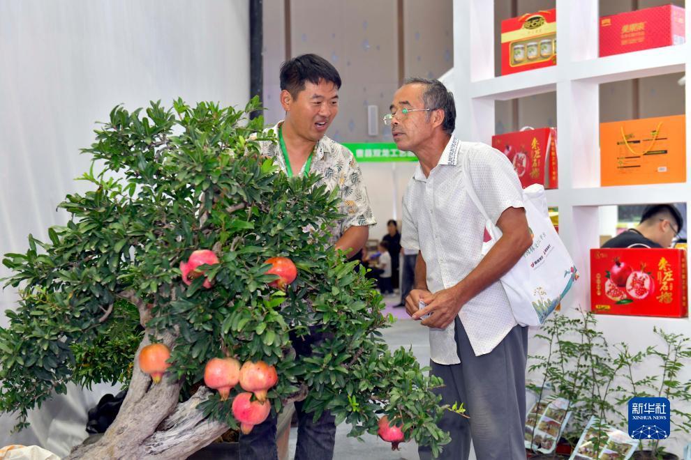 大红鹰彩票欢迎你